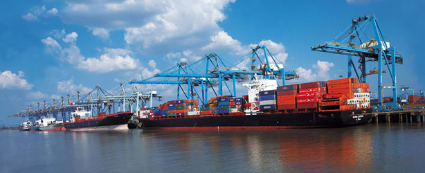 Export/Import